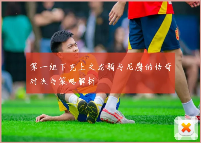 第一组下克上之龙骑与尼鹰的传奇对决与策略解析